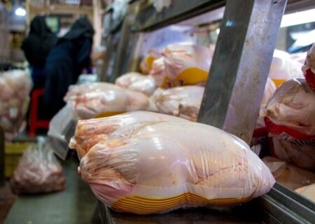 صدور مجوز واردات ۵۰ تن گوشت مرغ گرم