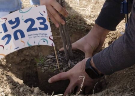 کاشت صد اصله درخت در صدسالگی نوو نوردیسک