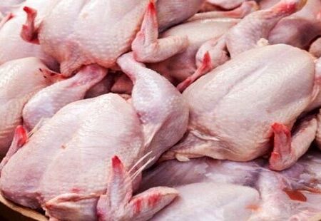 مصرف سالانه یک میلیون و ۹۰۰ هزارتن مرغ در کشور